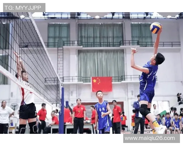 广州排球队心理素质引发热议球迷与专家各执己见的争论分析