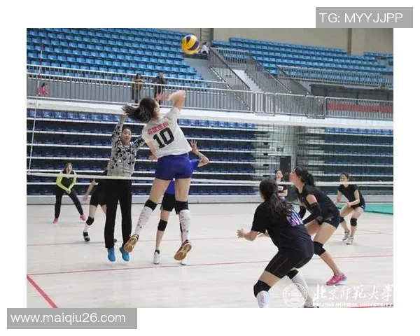 深度对话李芳探寻她的排球人生与奋斗历程