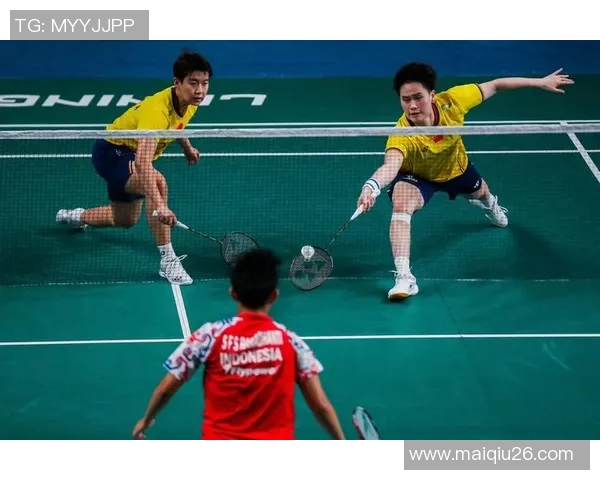 羽毛球新手必看战术入门指南助你快速提升竞技水平