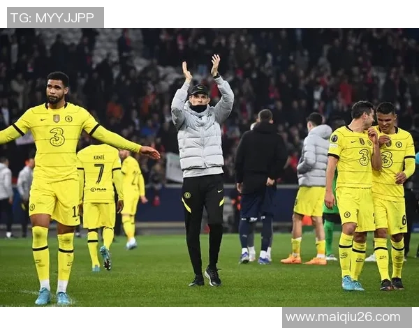 南京羽毛球队荣耀之路与欧冠足球的奋斗精神交汇特报