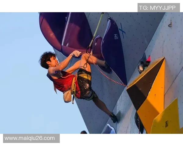 体育实时数据西安攀岩队实力强劲最新个人能力TOP10榜单揭晓