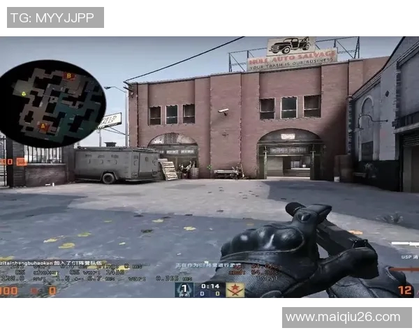 运动数据刘娜专访从新手到高手的CSGO成长之路与心路历程分享