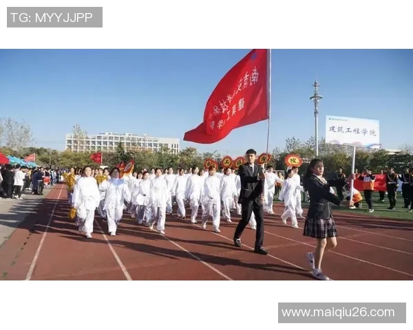 运动数据南京排球队的蜕变之旅从传统到现代的全新篇章